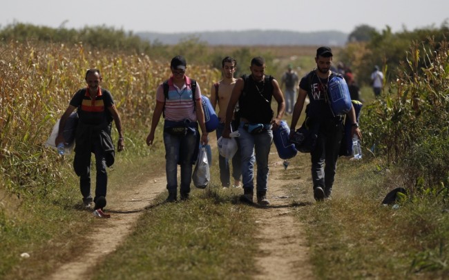 Сирийские беженцы выходят из Сербии к хорватскому городку Товарник. Фото AP/Scanpix