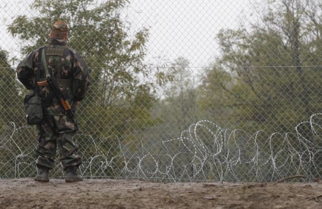 Венгерский военнослужащий у забора на границе с Хорватией. Фото AFP/Scanpix