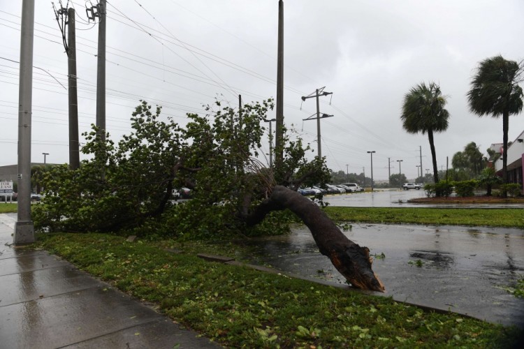 (170910) -- MIAMI, Sept. 10, 2017 (Xinhua) -- Trees and branches are seen on a street after being torn down by strong winds as hurricane Irma arrives, in Miami, Florida, the United States, on Sept. 10, 2017. Category Four Hurricane Irma on Sunday morning made landfall in the Florida Keys with gust wind speed of 171 km/h, according to the National Hurricane Center (NHC). (Xinhua/Yin Bogu)(srb) - Yin Bogu -//CHINENOUVELLE_CnynysE000025_20170911_TPPFN0A001/Credit:CHINE NOUVELLE/SIPA/1709110845