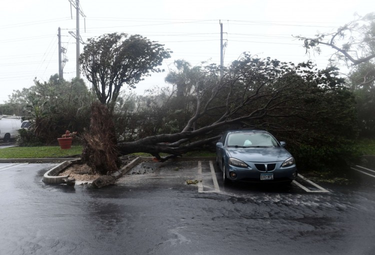 (170910) -- MIAMI, Sept. 10, 2017 (Xinhua) -- A tree is toppled onto a car after being knocked down by strong winds as hurricane Irma arrives, in Miami, Florida, the United States, on Sept. 10, 2017. Hurricane Irma on Sunday morning made landfall in the Florida Keys with gust wind speed of 171 km/h, according to the National Hurricane Center (NHC). (Xinhua/Yin Bogu)(srb) - Yin Bogu -//CHINENOUVELLE_CnynysE000033_20170911_TPPFN0A001/Credit:CHINE NOUVELLE/SIPA/1709110845