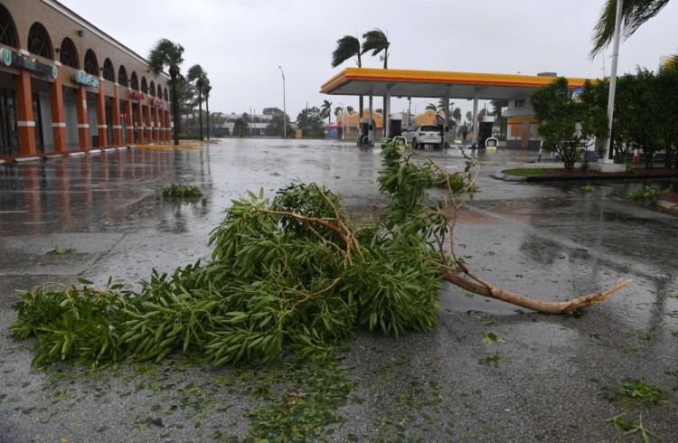 (170910) -- MIAMI, Sept. 10, 2017 -- Trees and branches are seen on a street after being torn down by strong winds as hurricane Irma arrives, in Miami, Florida, the United States, on Sept. 10, 2017. Category Four Hurricane Irma on Sunday morning made landfall in the Florida Keys with gust wind speed of 171 km/h, according to the National Hurricane Center (NHC). )(srb) U.S.-MIAMI-HURRICANE-IRMA YinxBogu PUBLICATIONxNOTxINxCHN