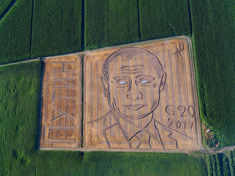 Портрет Владимира Путина на поле в Италии. Фото AP/Scanpix