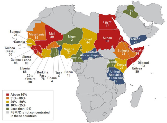 Распространение женского обрезания в странах Африки. Из доклада ЮНИСЕФ